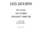 excel data entry and spreadsheet formatting
